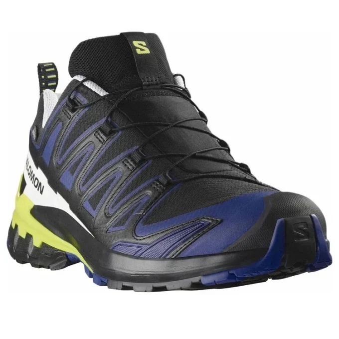 Salomon XA PRO 3D V9 Gore-Tex “Black Surf The Web”