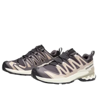 Salomon XA PRO 3D V9 GTX “Dark Grey Beige”