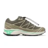 XT-6 Gore-Tex “Olive Night Dried Herb”