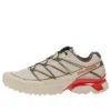 XT-PATHWAY 2 “Rainy Day Stone Gray Cherry Tomato” XT-PATHWAY 2 “Rainy Day Stone Gray Cherry Tomato”