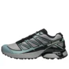 XT-PATHWAY “Ghost Grey Arona”