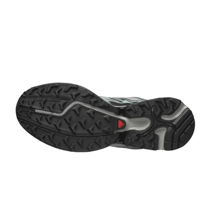 XT-PATHWAY “Ghost Grey Arona”